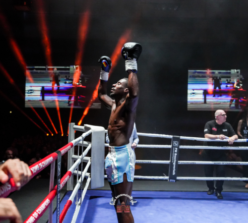 get-in-the-Ring-Kickboxen-hamburg-hansemeister.com-2025-4543