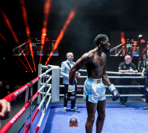 get-in-the-Ring-Kickboxen-hamburg-hansemeister.com-2025-4550