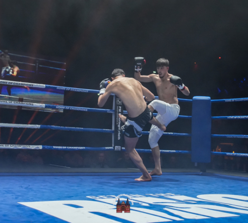 get-in-the-Ring-Kickboxen-hamburg-hansemeister.com-2025-467