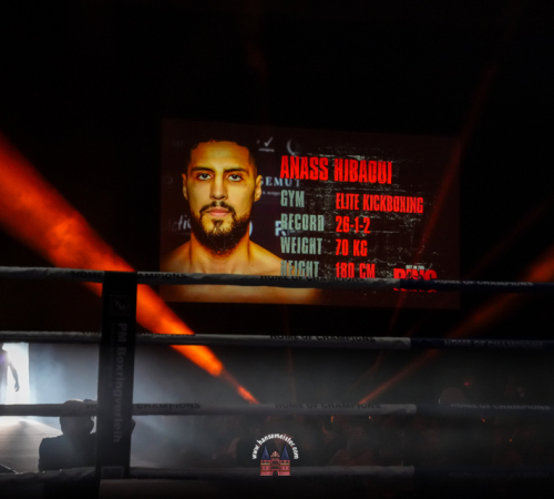 get-in-the-Ring-Kickboxen-hamburg-hansemeister.com-2025-4687