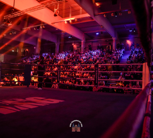 get-in-the-Ring-Kickboxen-hamburg-hansemeister.com-2025-4704