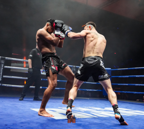 get-in-the-Ring-Kickboxen-hamburg-hansemeister.com-2025-4816