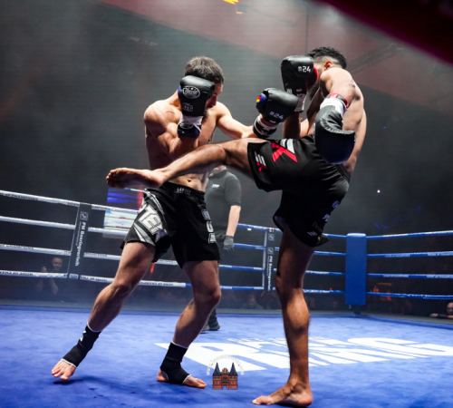 get-in-the-Ring-Kickboxen-hamburg-hansemeister.com-2025-4838