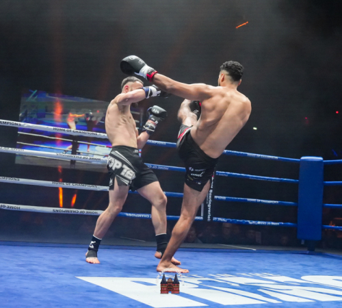 get-in-the-Ring-Kickboxen-hamburg-hansemeister.com-2025-4853