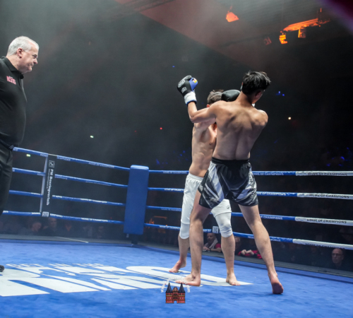 get-in-the-Ring-Kickboxen-hamburg-hansemeister.com-2025-494
