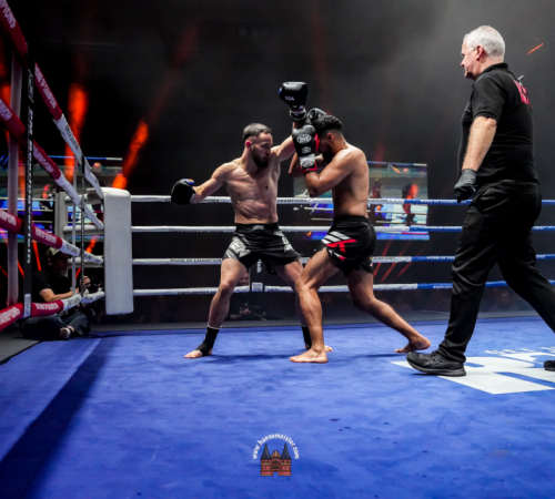 get-in-the-Ring-Kickboxen-hamburg-hansemeister.com-2025-4985