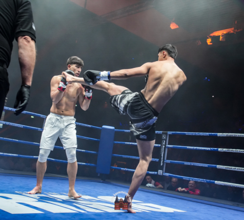 get-in-the-Ring-Kickboxen-hamburg-hansemeister.com-2025-501