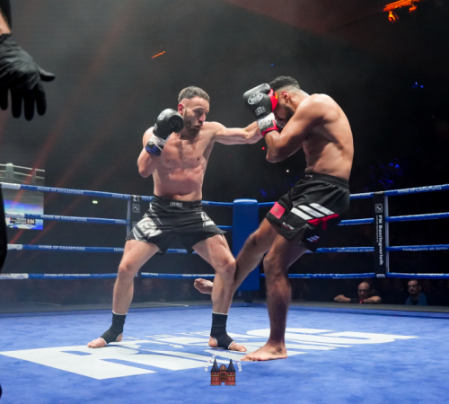 get-in-the-Ring-Kickboxen-hamburg-hansemeister.com-2025-5146