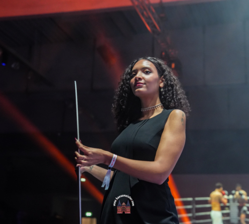 get-in-the-Ring-Kickboxen-hamburg-hansemeister.com-2025-519