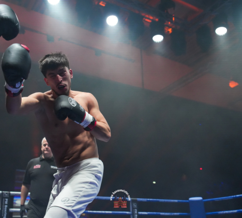 get-in-the-Ring-Kickboxen-hamburg-hansemeister.com-2025-533