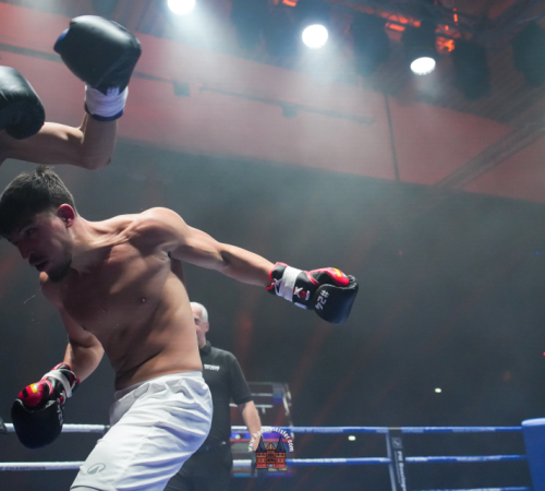 get-in-the-Ring-Kickboxen-hamburg-hansemeister.com-2025-534