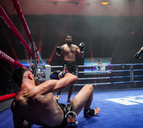 get-in-the-Ring-Kickboxen-hamburg-hansemeister.com-2025-5384