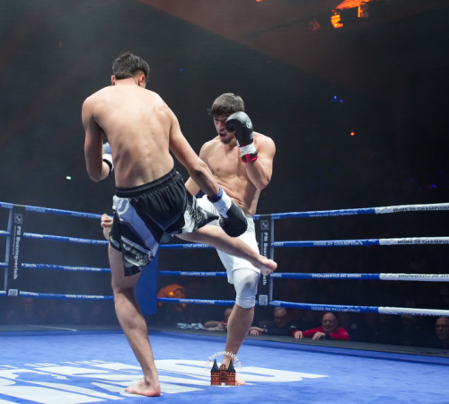 get-in-the-Ring-Kickboxen-hamburg-hansemeister.com-2025-545