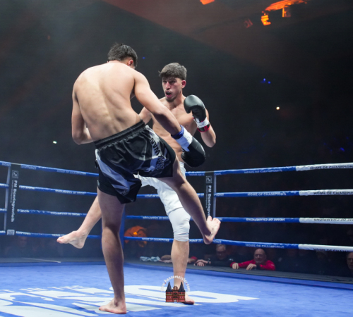 get-in-the-Ring-Kickboxen-hamburg-hansemeister.com-2025-546