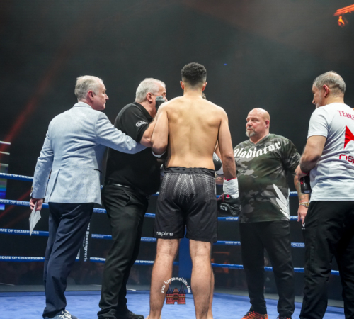 get-in-the-Ring-Kickboxen-hamburg-hansemeister.com-2025-5597