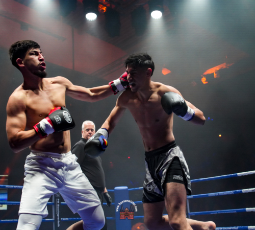 get-in-the-Ring-Kickboxen-hamburg-hansemeister.com-2025-575