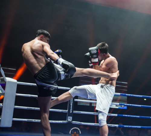 get-in-the-Ring-Kickboxen-hamburg-hansemeister.com-2025-599