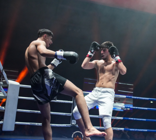 get-in-the-Ring-Kickboxen-hamburg-hansemeister.com-2025-600