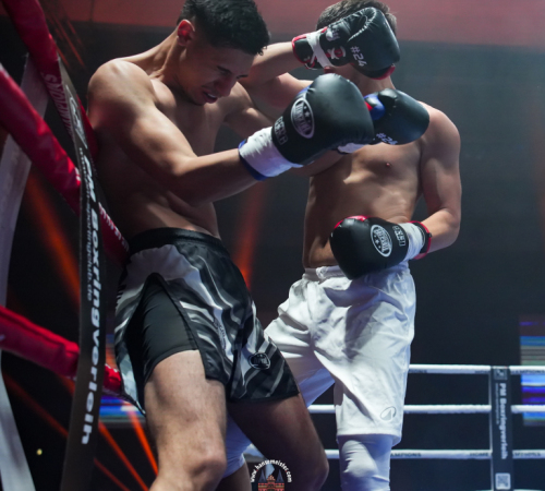 get-in-the-Ring-Kickboxen-hamburg-hansemeister.com-2025-605