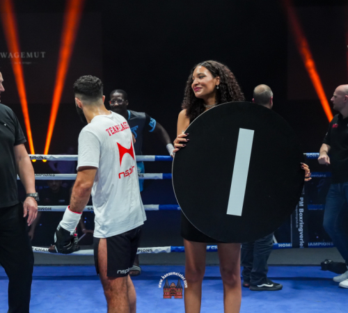 get-in-the-Ring-Kickboxen-hamburg-hansemeister.com-2025-6133