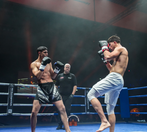 get-in-the-Ring-Kickboxen-hamburg-hansemeister.com-2025-622