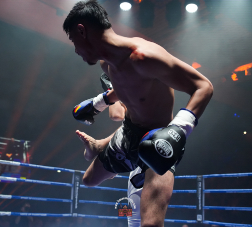 get-in-the-Ring-Kickboxen-hamburg-hansemeister.com-2025-664