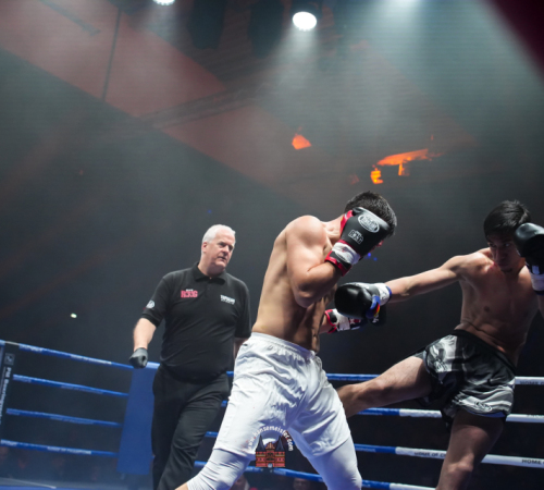 get-in-the-Ring-Kickboxen-hamburg-hansemeister.com-2025-672