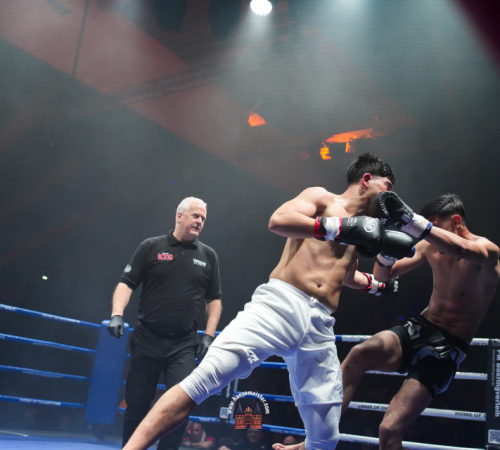 get-in-the-Ring-Kickboxen-hamburg-hansemeister.com-2025-673