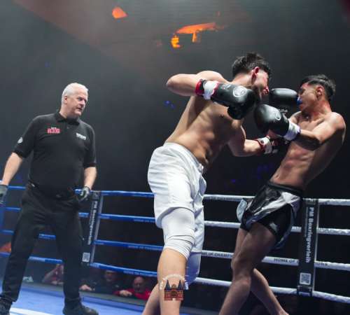 get-in-the-Ring-Kickboxen-hamburg-hansemeister.com-2025-674