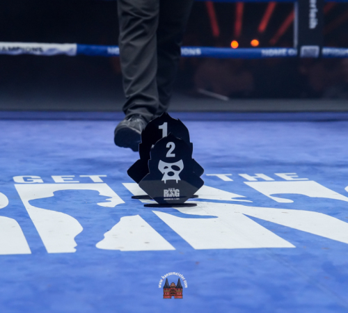 get-in-the-Ring-Kickboxen-hamburg-hansemeister.com-2025-696