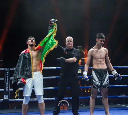 get-in-the-Ring-Kickboxen-hamburg-hansemeister.com-2025-705