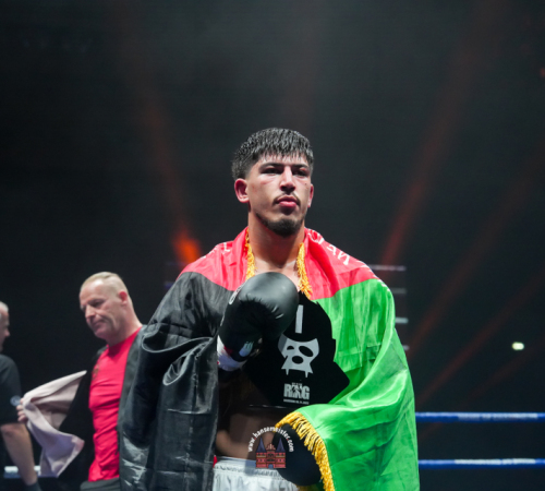 get-in-the-Ring-Kickboxen-hamburg-hansemeister.com-2025-726