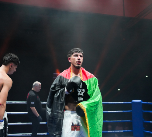 get-in-the-Ring-Kickboxen-hamburg-hansemeister.com-2025-730