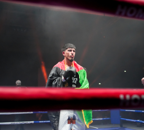 get-in-the-Ring-Kickboxen-hamburg-hansemeister.com-2025-731