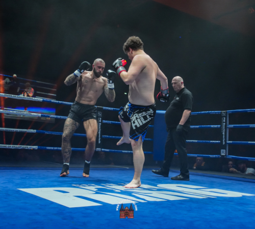 get-in-the-Ring-Kickboxen-hamburg-hansemeister.com-2025-783