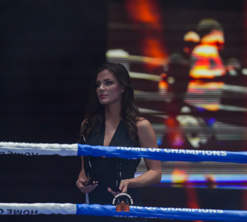 get-in-the-Ring-Kickboxen-hamburg-hansemeister.com-2025-983