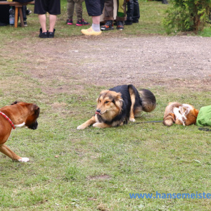 Hoernerfest_2014_2405