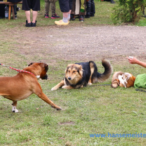 Hoernerfest_2014_2406
