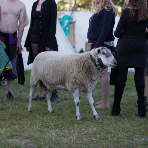 Hoernerfest_Samstag_2018_1007_