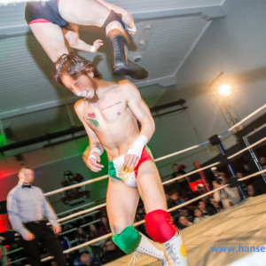 IPW_Against_the_Rules_2017_104_