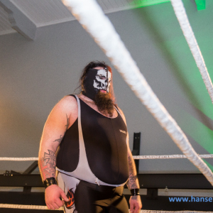 IPW_Against_the_Rules_2017_1058_