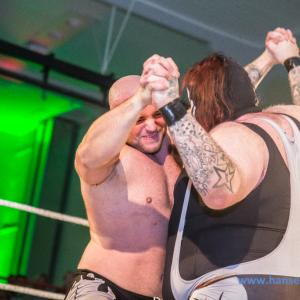 IPW_Against_the_Rules_2017_1069_
