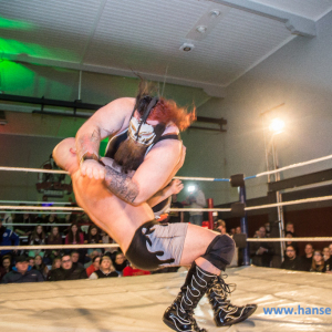 IPW_Against_the_Rules_2017_1077_