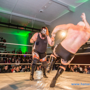 IPW_Against_the_Rules_2017_1157_