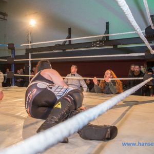 IPW_Against_the_Rules_2017_1163_