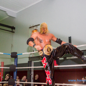 IPW_Against_the_Rules_2017_1191_
