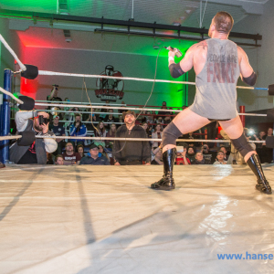 IPW_Against_the_Rules_2017_1247_