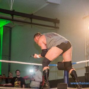 IPW_Against_the_Rules_2017_1267_