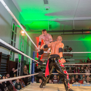 IPW_Against_the_Rules_2017_1323_