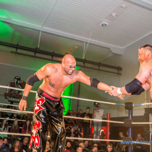 IPW_Against_the_Rules_2017_1338_